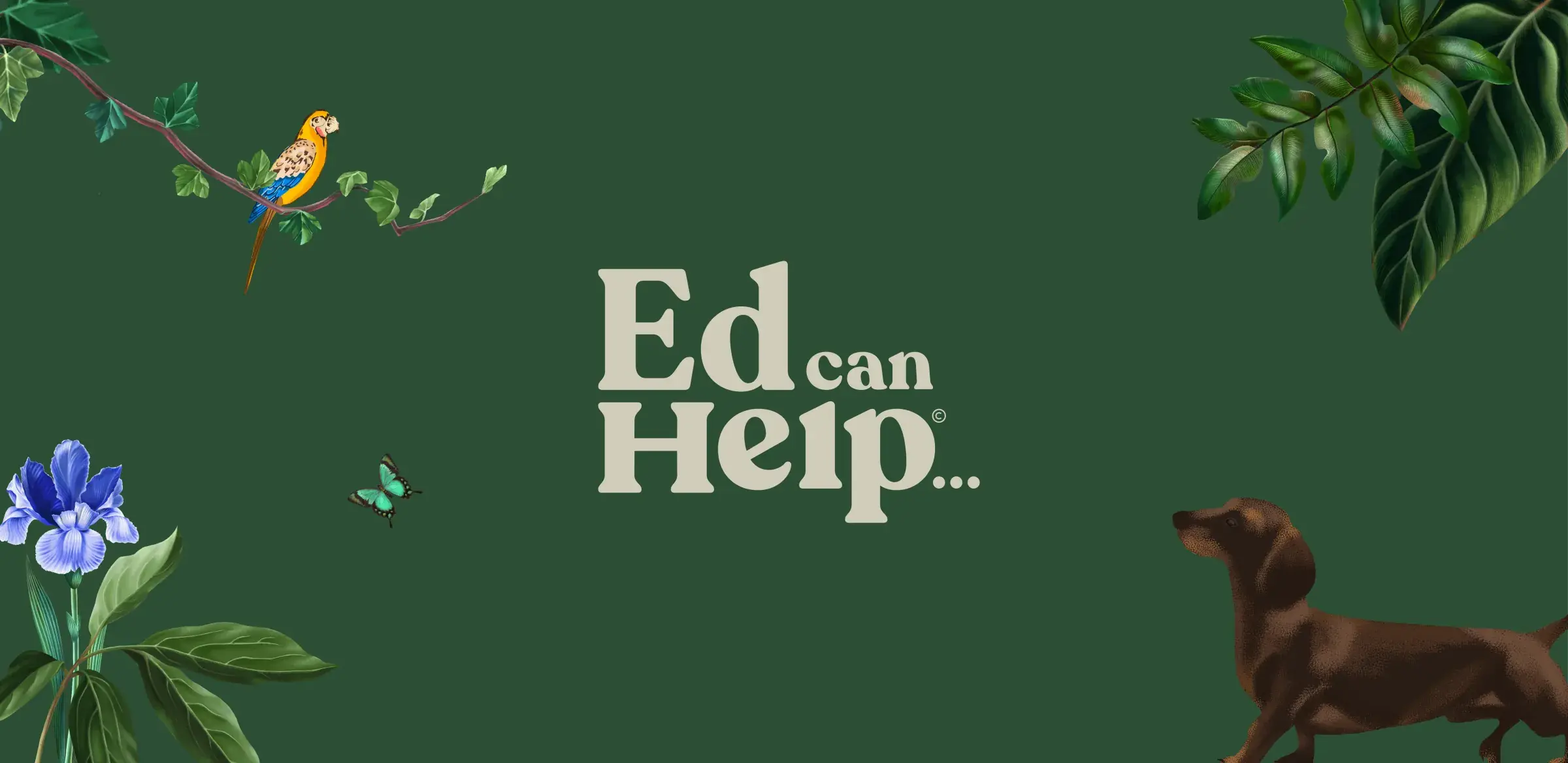 Ed Can Help, 1 of 9
