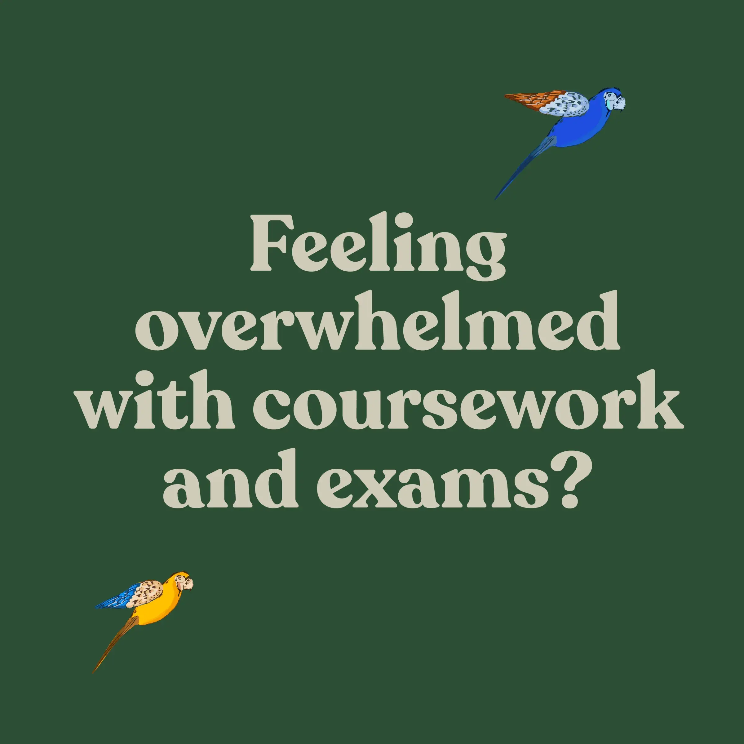 Ed Can Help, 6 of 9