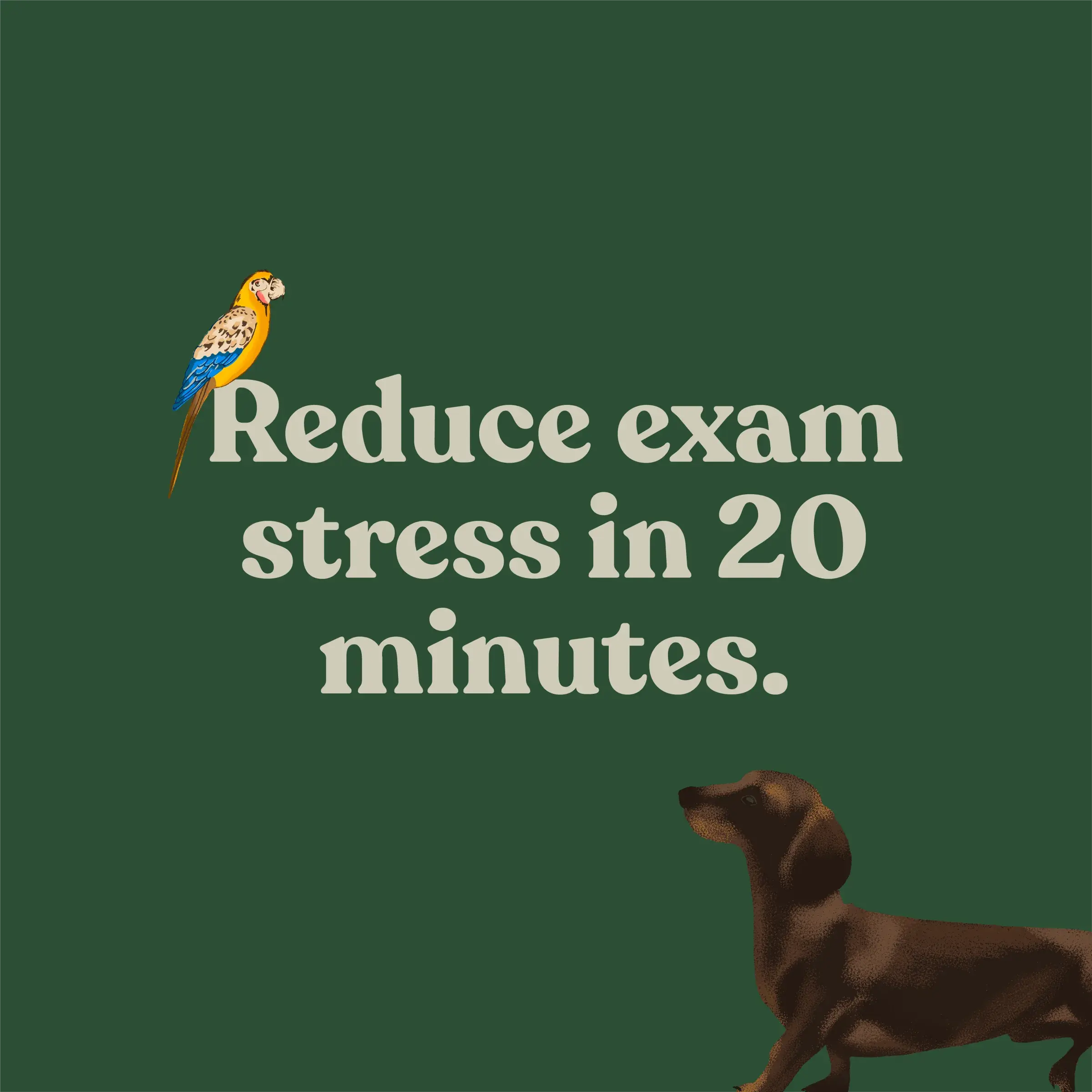 Ed Can Help, 8 of 9