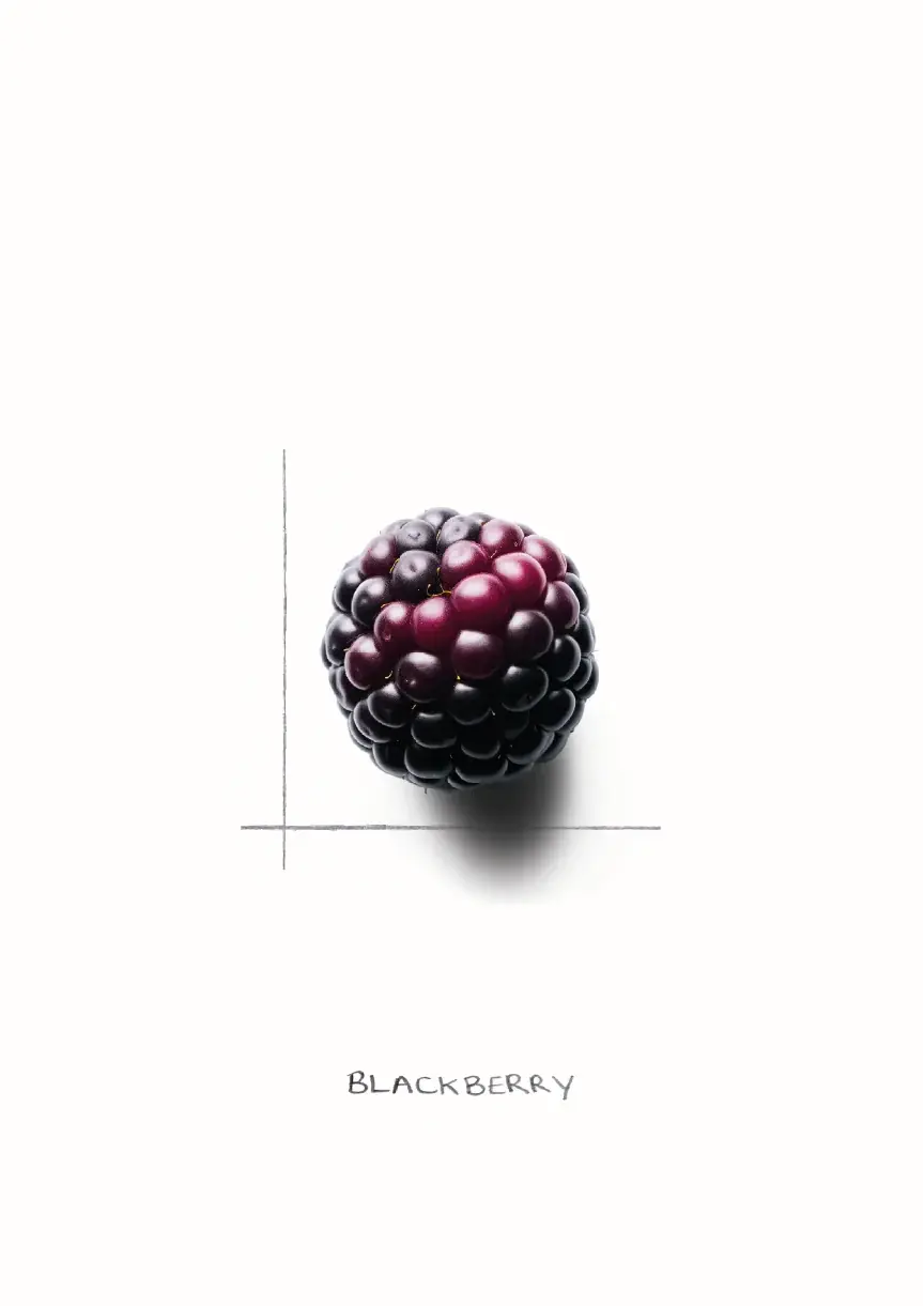 Bramble, 12 of 20