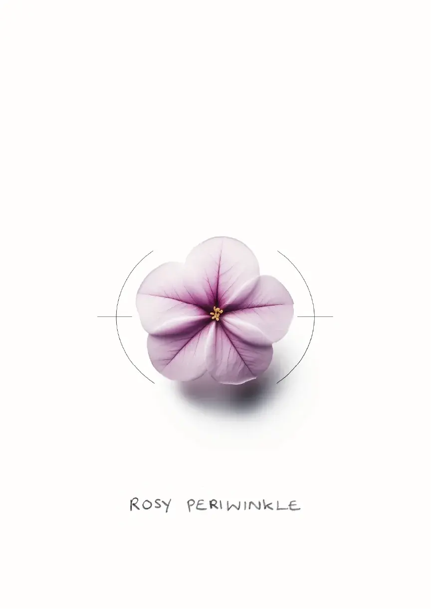 Bramble, 16 of 20